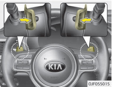 Paddle shifter