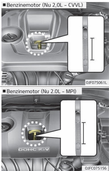 Motoroliepeil controleren