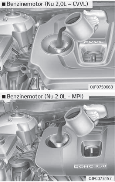 Motoroliepeil controleren