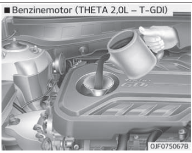 Motoroliepeil controleren