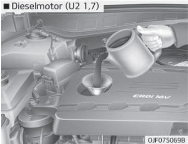 Motoroliepeil controleren