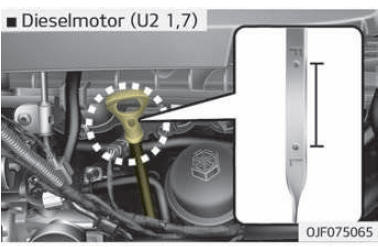 Motoroliepeil controleren