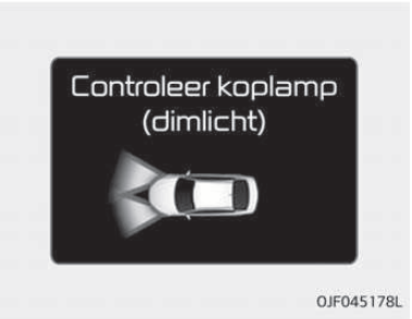 Controleer koplamp