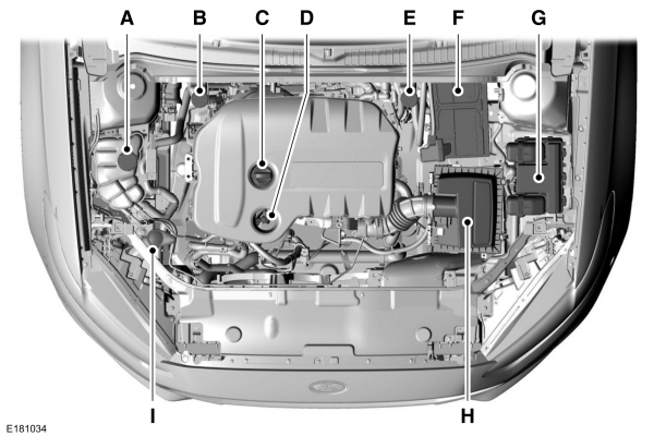 Overzicht motorruimte - 1.5L Duratorq-TDCi diesel 