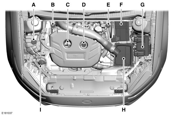 Overzicht motorruimte - 2.0L EcoBoost