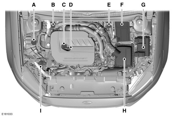 Overzicht motorruimte - 1.5L EcoBoost